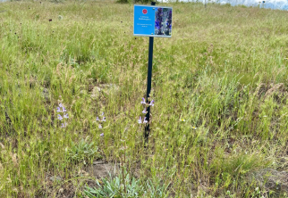 NEVÜ Endemikler Tepesi Projesi